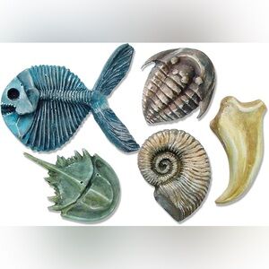 🌙 B19 - Roylco Fossil Moulds